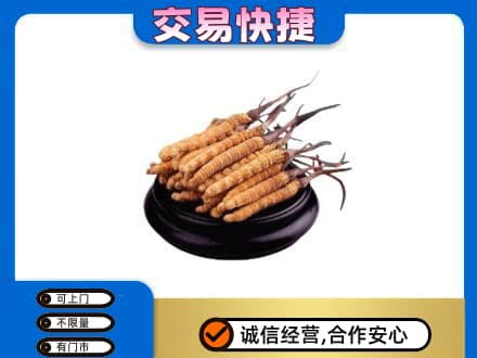 克拉玛依高价回收冬虫夏草多少钱每克